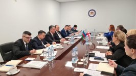 Азербайджан и Грузия провели консульские консультации  (ФОТО)