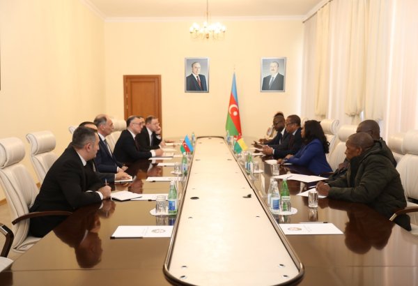 Azerbaijan, Guinea-Bissau debate development of ties in healthcare field (PHOTO)