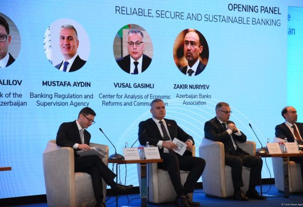 Azerbaijan's financial development strategy to yield results soon - CBA Executive Director