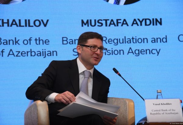 Azerbaijan's green taxonomy to lay firm basis for sustainability goals - CBA executive director