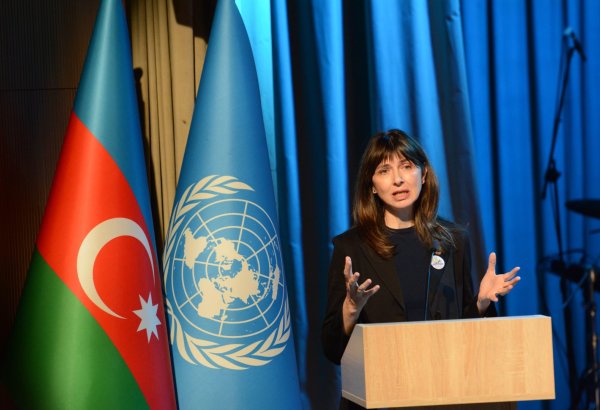 Designing NDCs needs to take people with disabilities into account - UN official