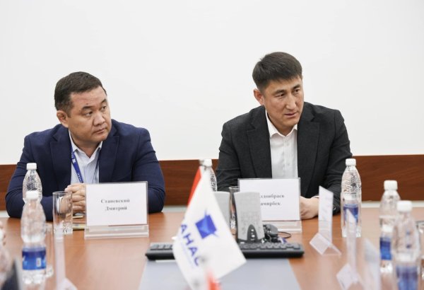 ICAO giving Kyrgyzstan's aviation security thumbs up