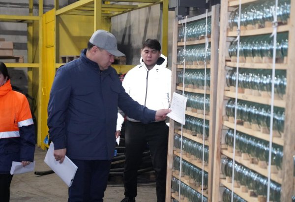 Kazakhstan set to launch its new logistics complex in Almaty next year