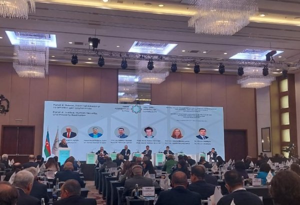 International community fails to protect refugees and IDPs - Bulgarian professor