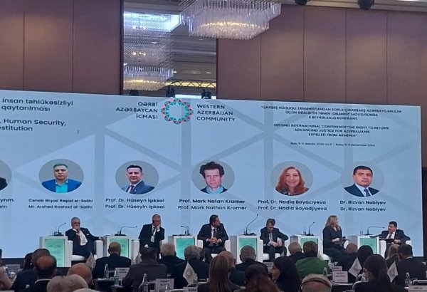 Azerbaijanis' expulsion from their ancestral lands stems from their ethnicity - diplomat