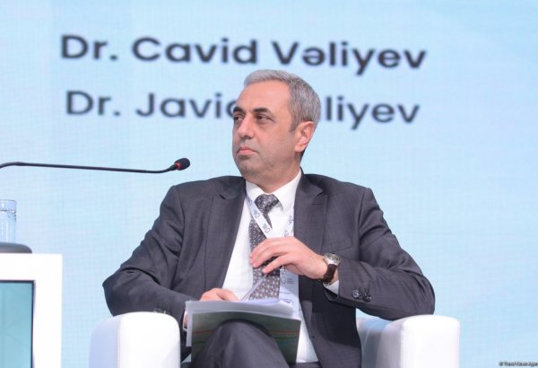 Azerbaijan's Baku hosts panel session on role of int'l advocacy and diplomacy (PHOTO)