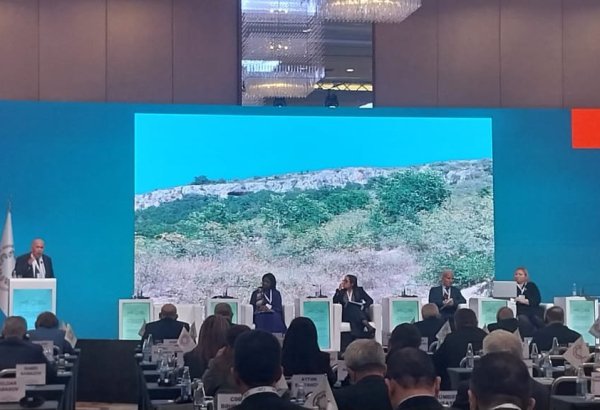 Armenians wreck all Azerbaijani cultural heritage in occupied territories - official