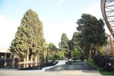 90-летний фонд природы в Баку - Фоторепортаж из Центрального ботанического сада