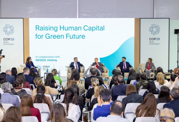 NEQSOL Holding successfully participates at COP29 (PHOTO)