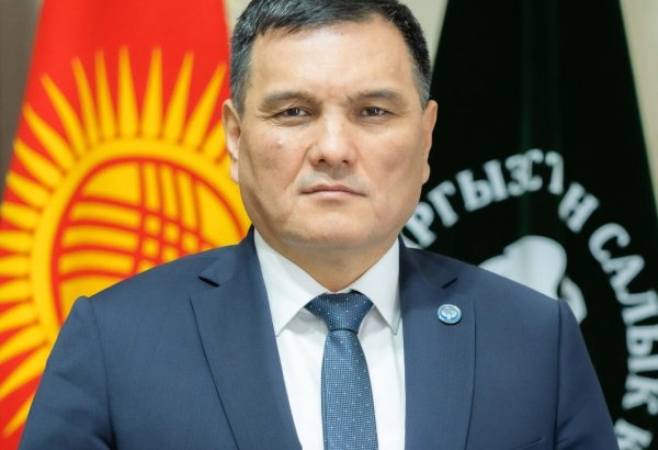 Corruption probe leads to detention of head and deputy of Kyrgyzstan's Tax Service