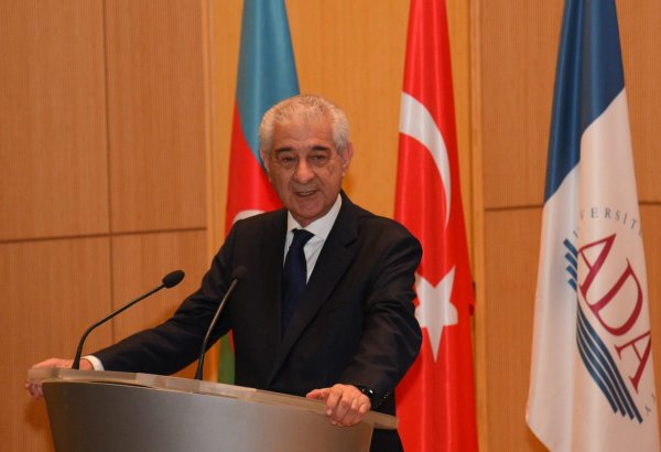 World community recognizes Azerbaijan, Türkiye as strong nations - deputy parliament chair