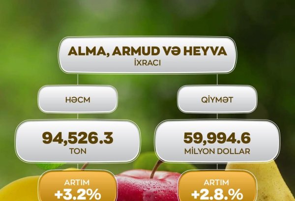Azerbaijan unveils export volume of apples, pears, quince for 11M2024