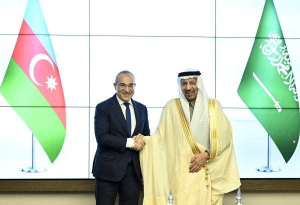 Azerbaijan's development strategy focusing on enhancing efficiency of renewables - minister (PHOTO)