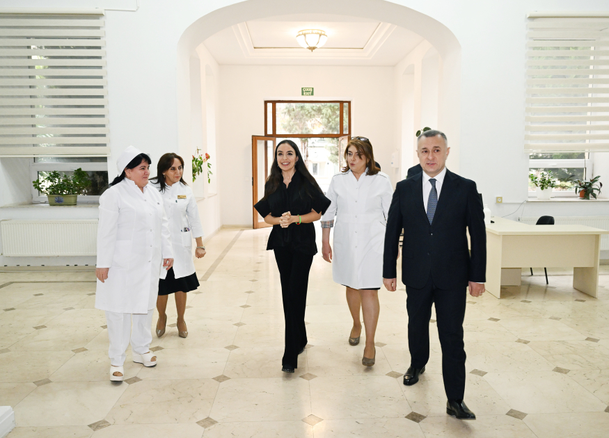 Вице-президент Фонда Гейдара Алиева Лейла Алиева посетила Научно-исследовательский институт педиатрии имени К.Фараджевой и Научно-исследовательский институт акушерства и гинекологии (ФОТО)