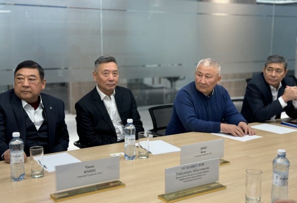 Chinese company set to implement project focusing on deep wood processing in Kazakhstan