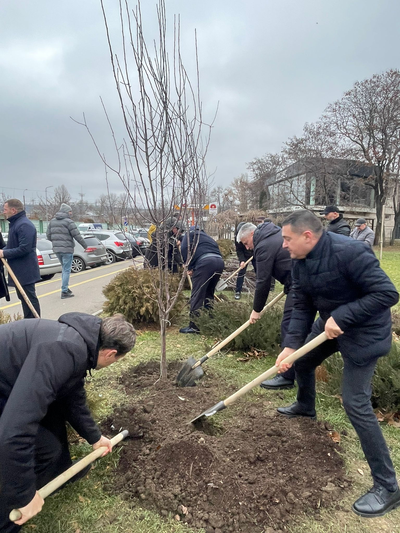 В Кишинэу заложена Аллея азербайджано-молдавской дружбы "Харыбюльбюль" (ФОТО)