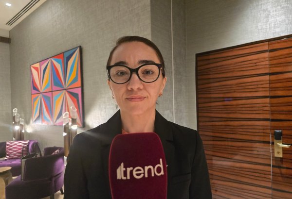 Women make up large segment of Azerbaijan's railway sector workforce - department head