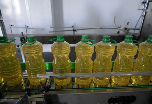 Kyrgyzstan's Issyk-Ata launches new venture in vegetable oil production