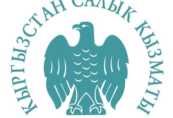 В Кыргызстане запретят оборот немаркированного топлива