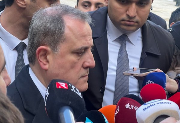 Azerbaijan, Armenia reach positive results on preamble and 15 articles of peace treaty - FM