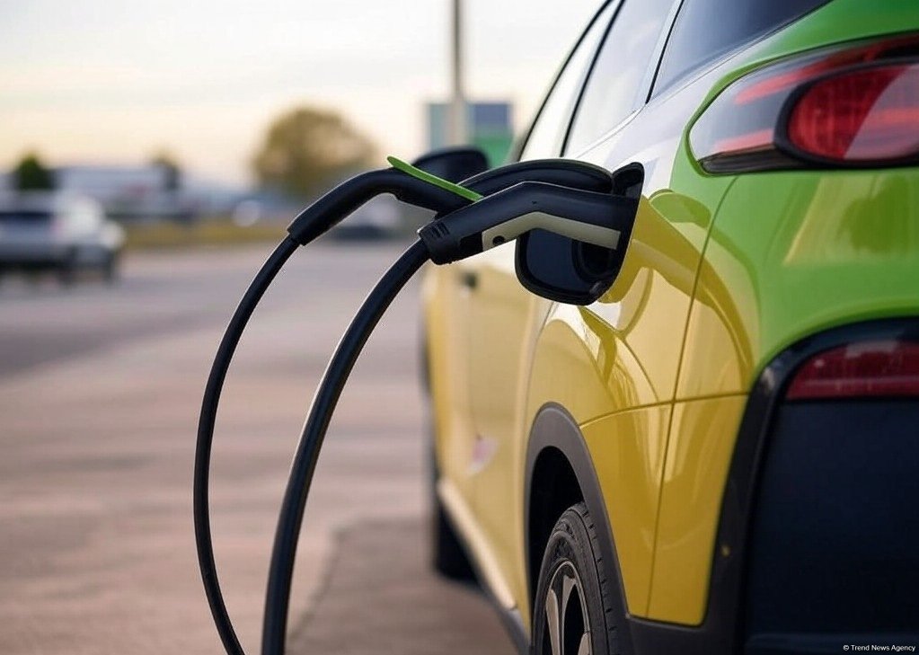 Tajikistan boosts electric vehicle fleet in 1Q2025