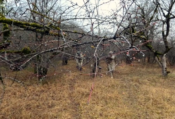Reservists from Azerbaijan's military participate in regular training camps