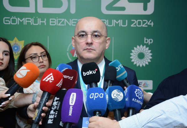 New customs instruments set to significantly foster Azerbaijan's economy - official