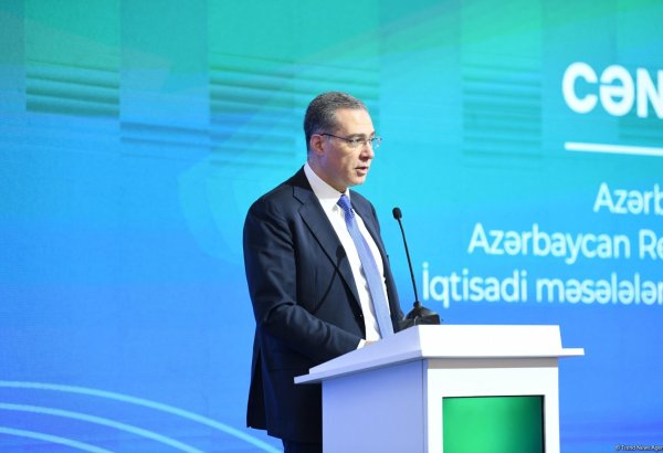 Azerbaijan's cutting-edge digital border platforms to boost int'l market co-op - official