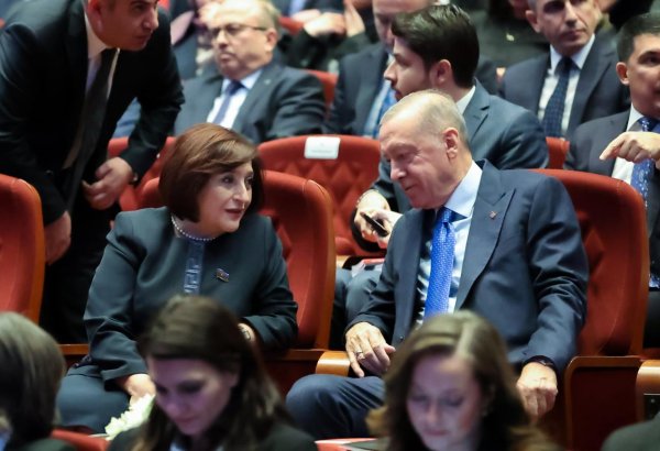 Azerbaijani parliament speaker holds meeting with Turkish president (PHOTO)