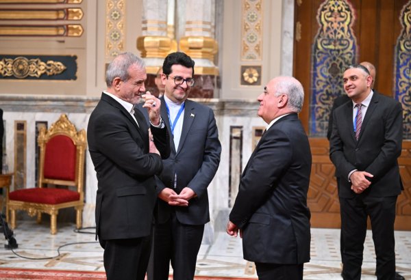 Azerbaijani PM holds several meetings as part of D-8 Summit in Cairo (PHOTO)