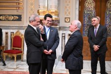 Azerbaijani PM holds several meetings as part of D-8 Summit in Cairo (PHOTO)