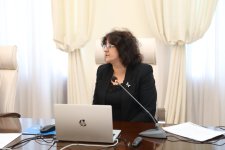 Минздрав Азербайджана подводит итоги года (ФОТО)
