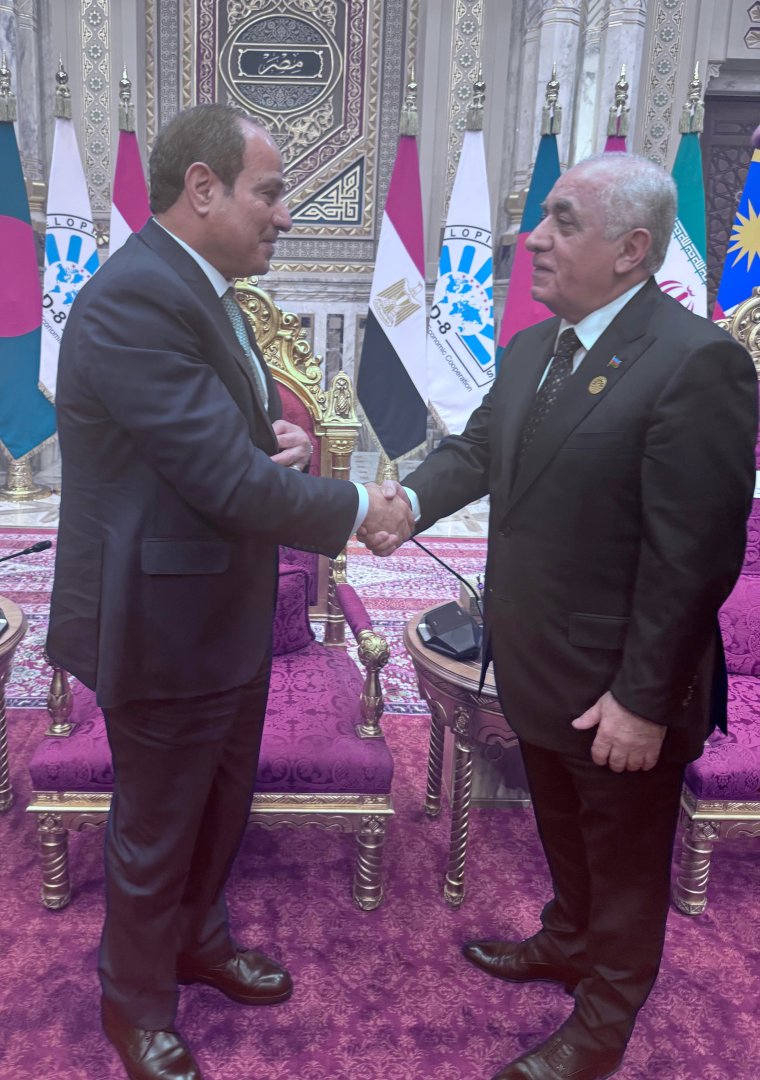 Azerbaijani PM holds several meetings as part of D-8 Summit in Cairo (PHOTO)