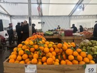 В Баку проходит новогодняя ярмарка "Из села в город" (ФОТО)