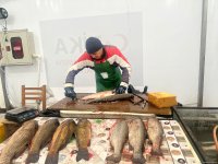 В Баку проходит новогодняя ярмарка "Из села в город" (ФОТО)