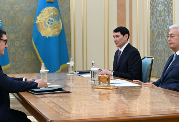 Kazakhstan calls for accelerated nuclear power station development