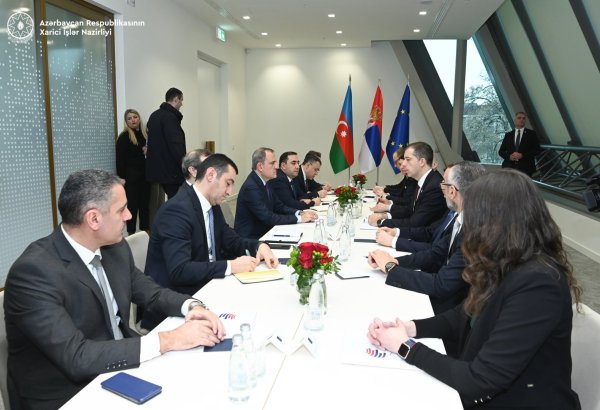 Azerbaijan, Serbia discuss strategic partnership (PHOTO)