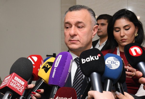 Some plane disaster victims to return home soon - Azerbaijani minister