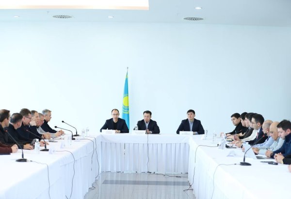 Kazakhstan's commission outlines investigation plan for Aktau plane crash