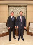 Посольство Азербайджана в Сирии возобновит свою работу - МИД (ФОТО)