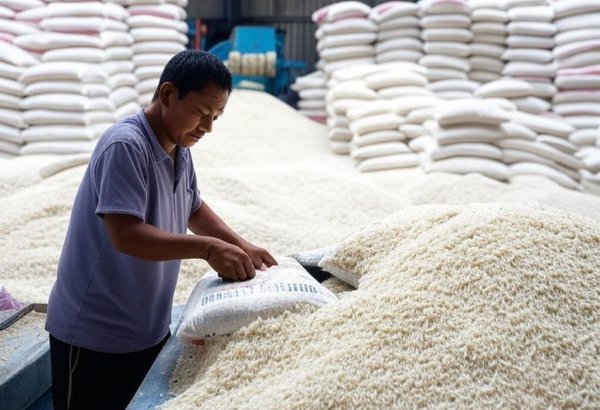 Azerbaijan's rice import expenses grows in 11M2024