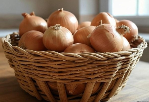Kazakhstan expects rise in onion production and consumption in 2025