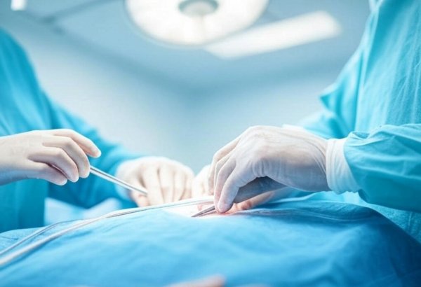 Azerbaijan assesses financial outlay for procedures in private healthcare