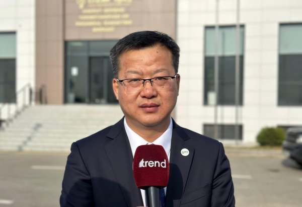 Azerishig, Donfang Electronics identify great potential for cooperation - official