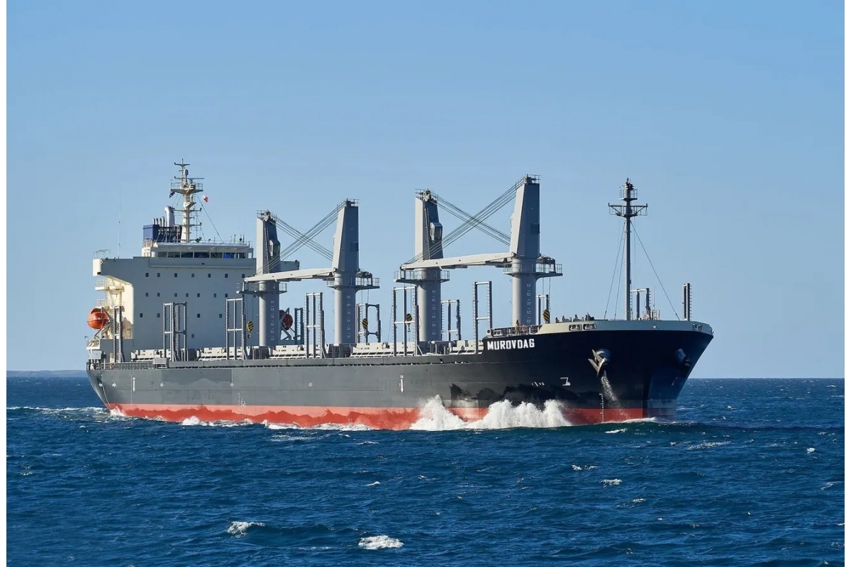 Azerbaijan reveals number of vessels commissioned since establishment of ASCO (PHOTO)