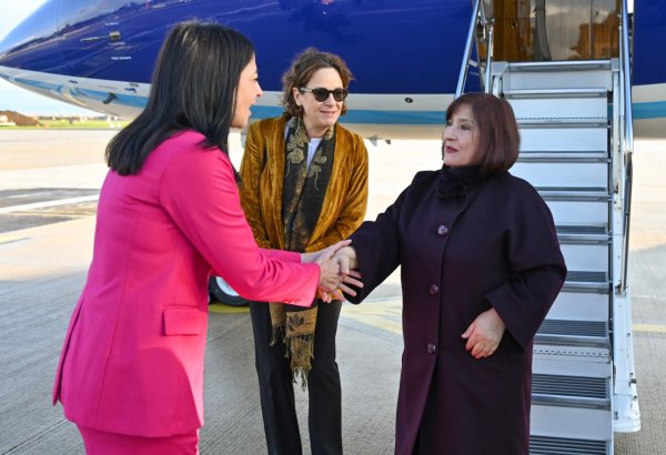 Azerbaijani Parliament Speaker arrives in Italy for official visit (PHOTO)