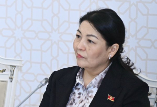 Изменение климата напрямую влияет на здоровье - парламентарий Кыргызстана