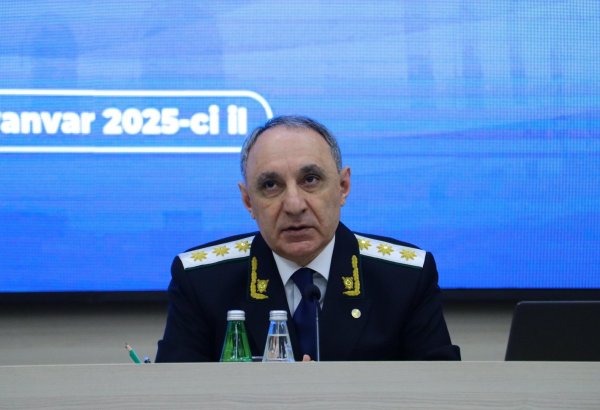 В 2024 году в Азербайджане 41 человек стал жертвой минного террора со стороны Армении - Кямран Алиев