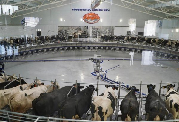 Kazakhstan pioneers cutting-edge milking carousel in Central Asia