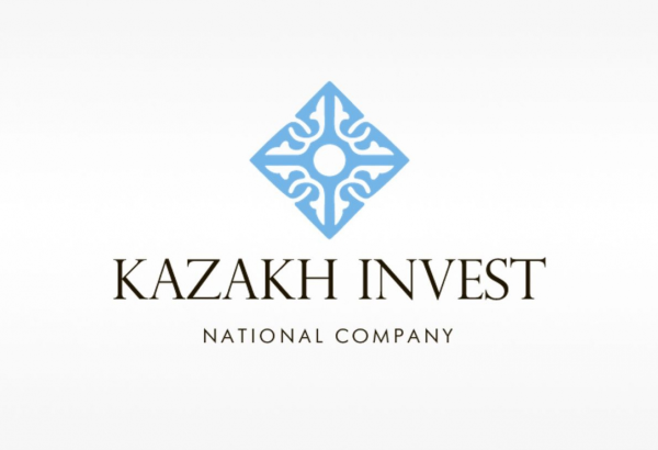 Kazakhstan keeps leading Central Asia in investments despite FDI drop in 2024